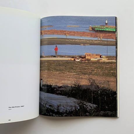 Jeff Wall  Landscapes and Other Pictures
