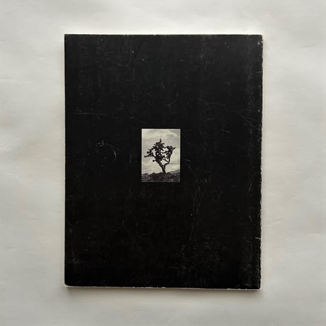 岡本太郎とメキシコ 熱いまなざし