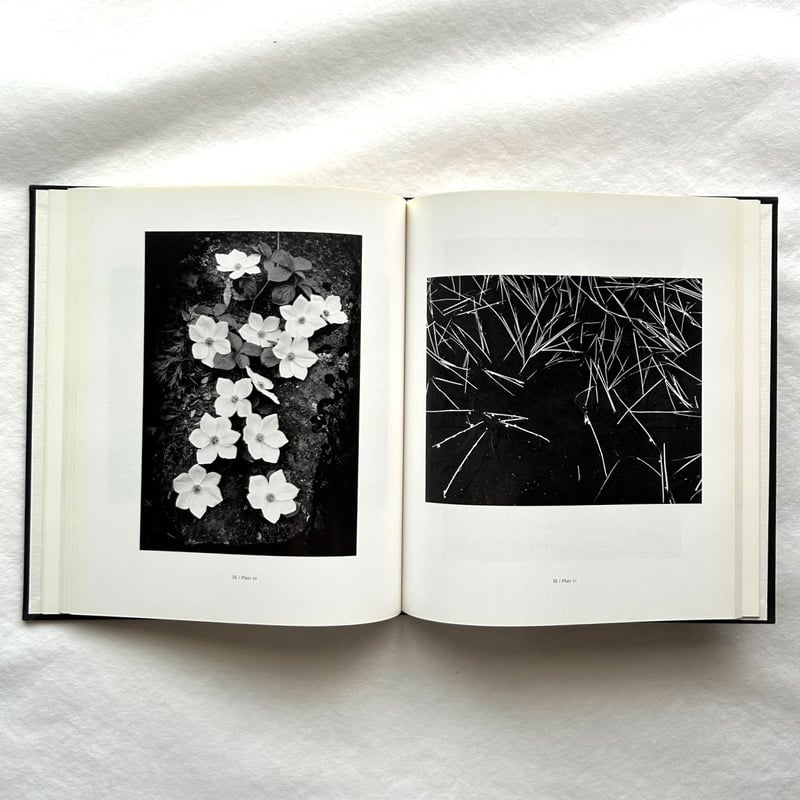 The Portfolios of Ansel Adams / アンセル・アダムス | 本まる