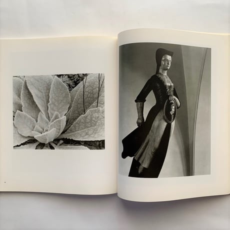 Paul Strand Fotografie