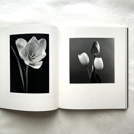 Hana 花 / 石元泰博