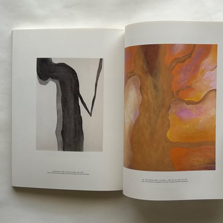 Georgia O'Keeffe Museum