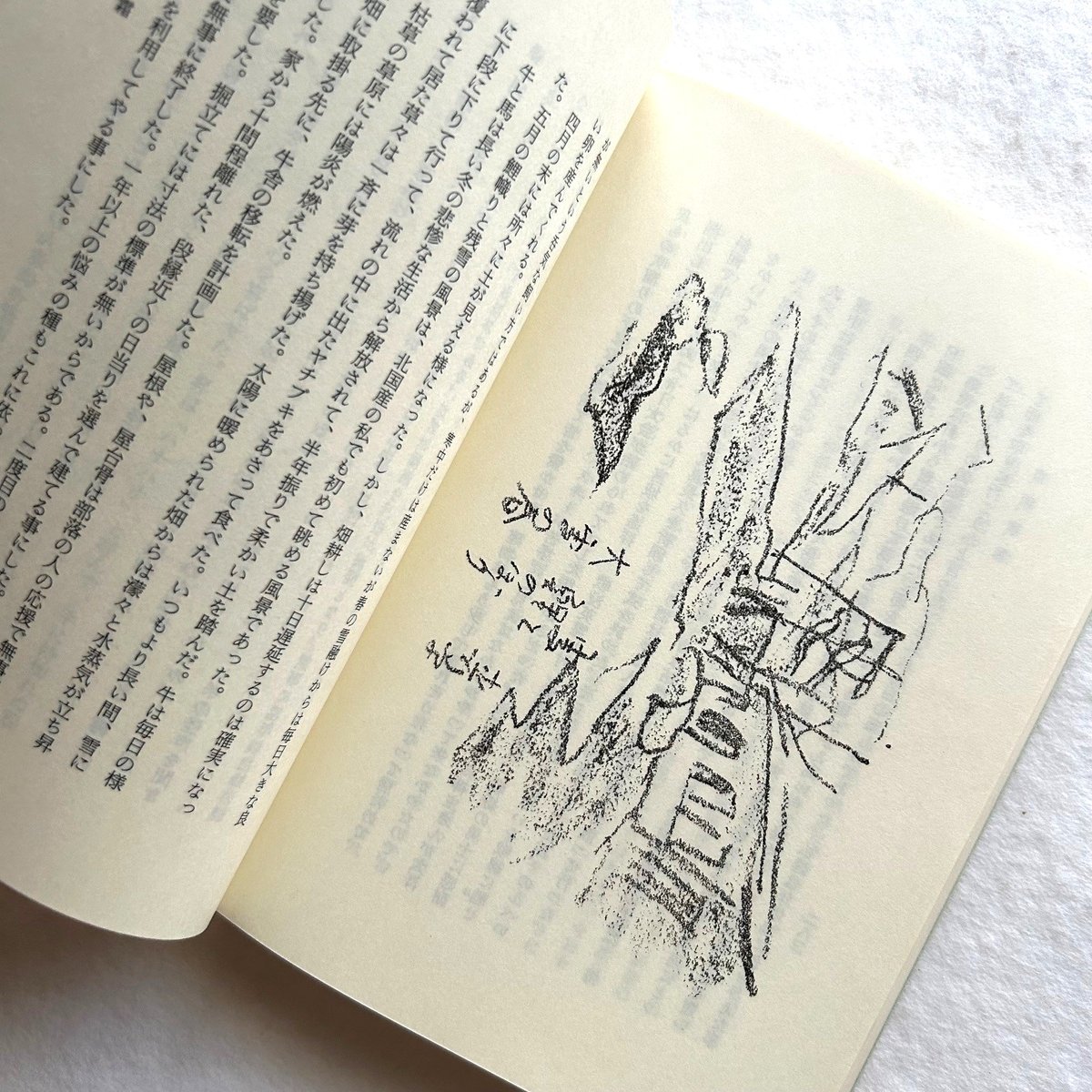 開墾の記（復刻版） / 坂本直行 | 本まるさんかくしかく