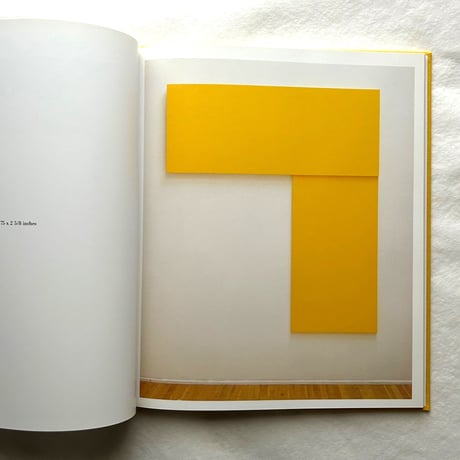 Ellsworth Kelly   Relief Paintings 1954-2001 / Sarah Rich