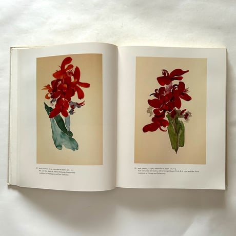 Georgia O'Keeffe  Art and Letters / Jack Cowart, Juan Hamilton