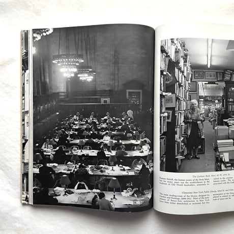New York City A Photographic Portrait / Victor Laredo