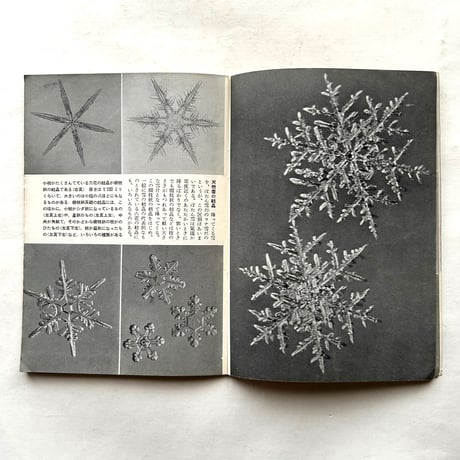 「雪」の結晶 / 岩波写真文庫7