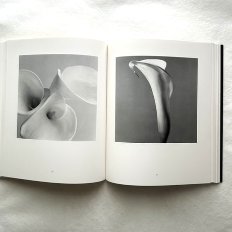 Hana 花 / 石元泰博