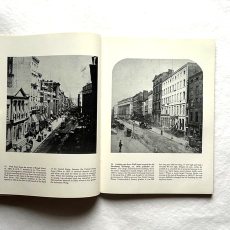 Nineteenth-Century New York in Rare Photographic Views / Frederick S. Lightfoot