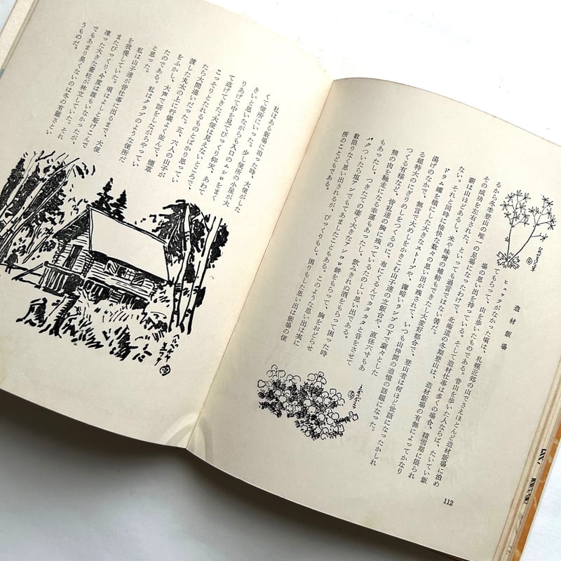 書道作品 「威震山嶽」 栗山園オンライン通販部 / 【出物】 掛軸 一行「瀧 直満大海作波濤