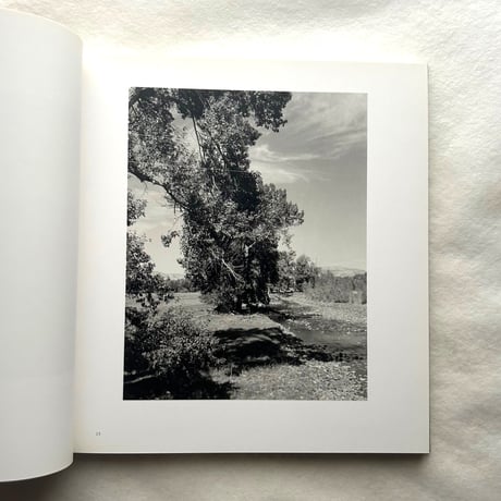 Tree Line / Robert Adams