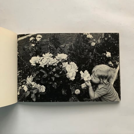 cicci cocco / Bruno Munari, Enzo Arnone