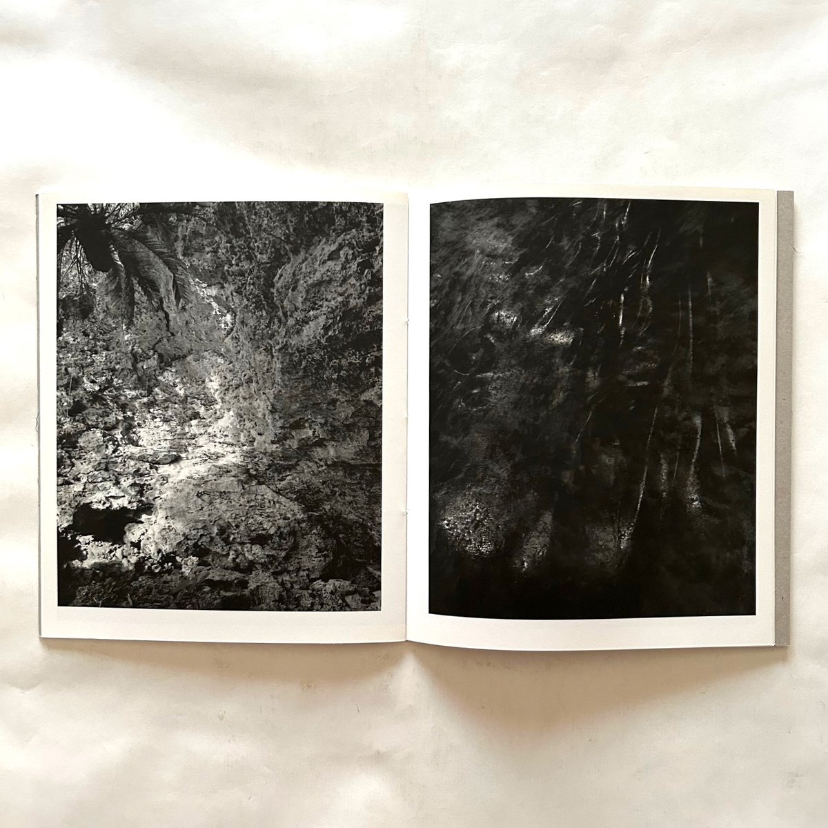 Blanco / Awoiska Van Der Molen | 本まるさんかくしかく