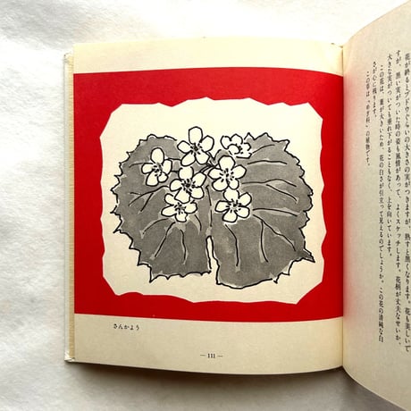 わたしの草と木の絵本 / 坂本直行