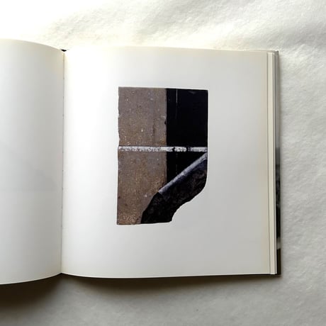 Paintings on Marble / ブライス・マーデン