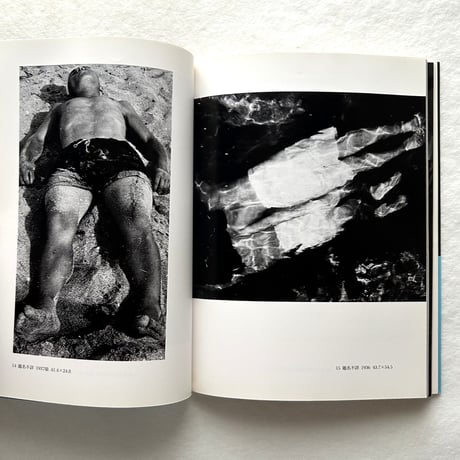 安井仲治 モダニズムを駆けぬけた天才写真家 / 飯沢耕太郎、中島徳博