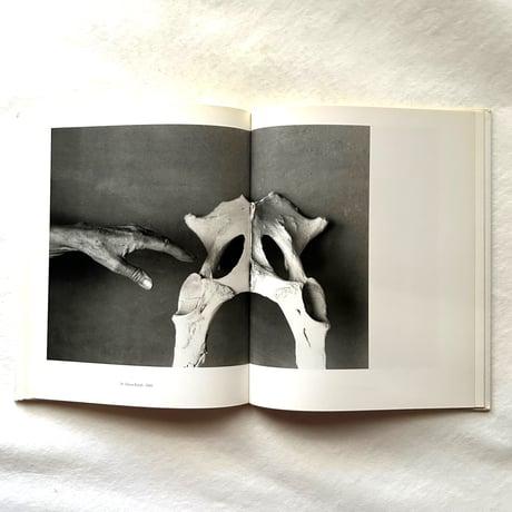 Georgia O’Keeffe At Ghost Ranch  /  ジョン・ロエンガード
