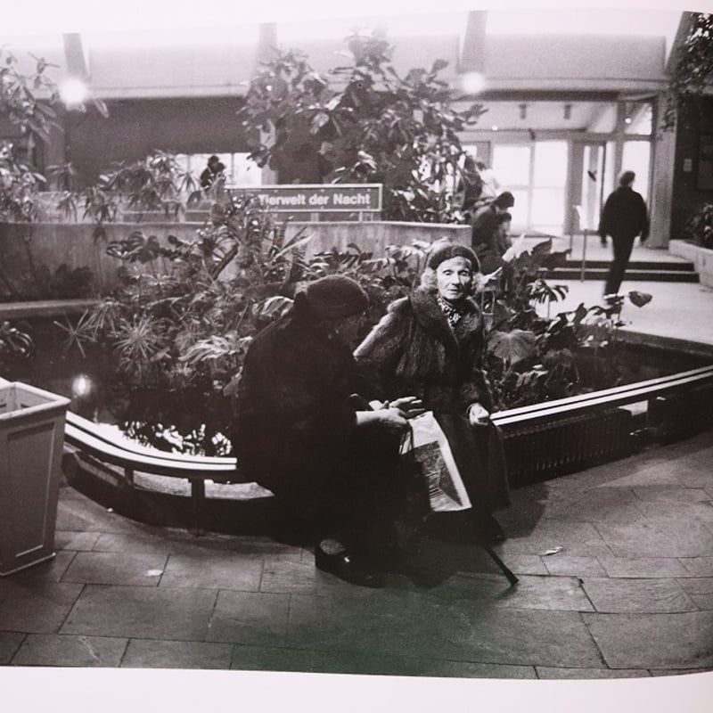 橋口譲二　写真集　動物園 動物園 / Zoo - 橋口 譲二 / George Hashiguchi