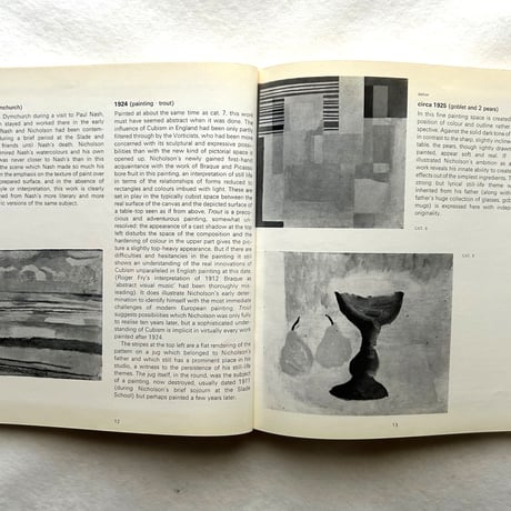 Ben Nocholson / The Tate Gallery