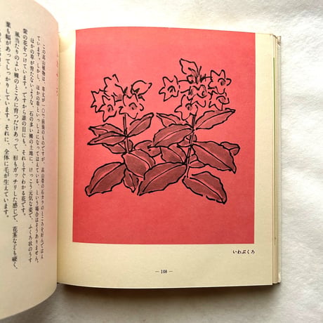 わたしの草と木の絵本 / 坂本直行