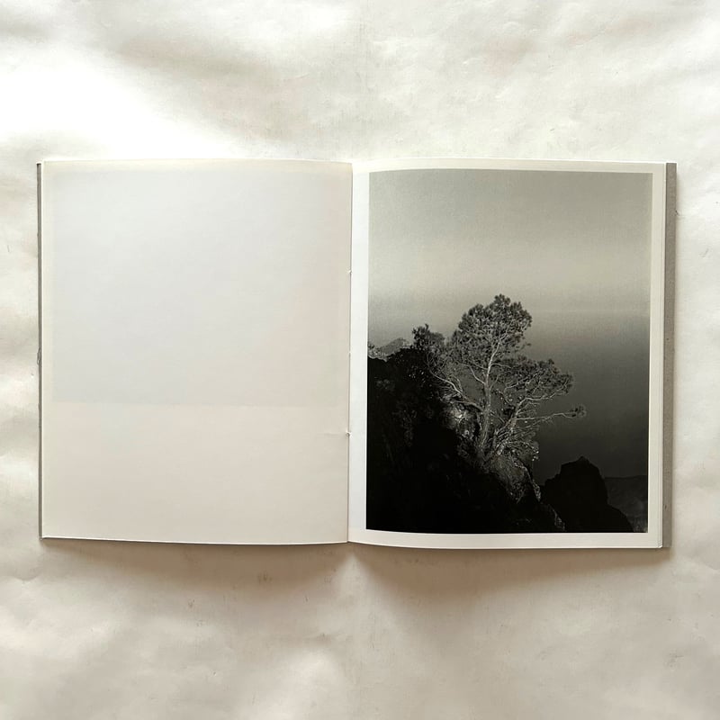 アート・デザイン・音楽 Awoiska Van Der Molen Blanco Awoiska van der Molen — Blanco | Fw:Books