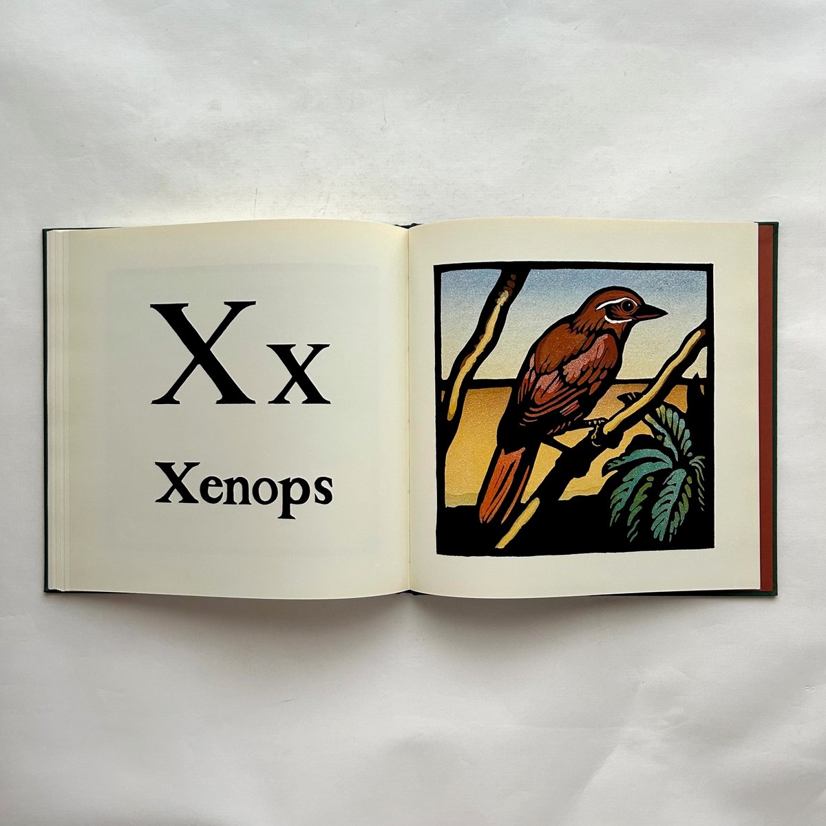 洋書 絵本 Christopher Wormell アートブック ヴィンテージ