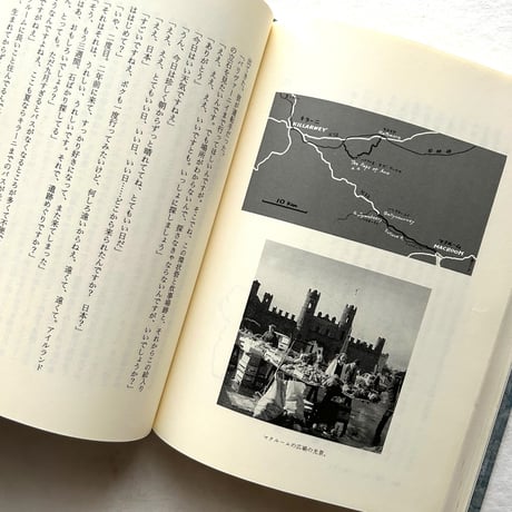 ケルト・石の遺跡たち / 堀淳一