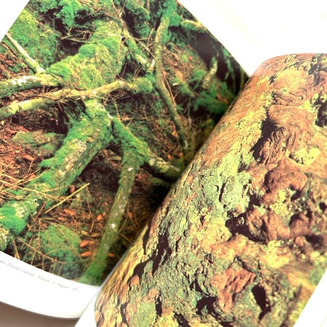 Nature’s Chaos / ジェームズ・グレイック (テキスト)、エリオット・ポーター (写真)