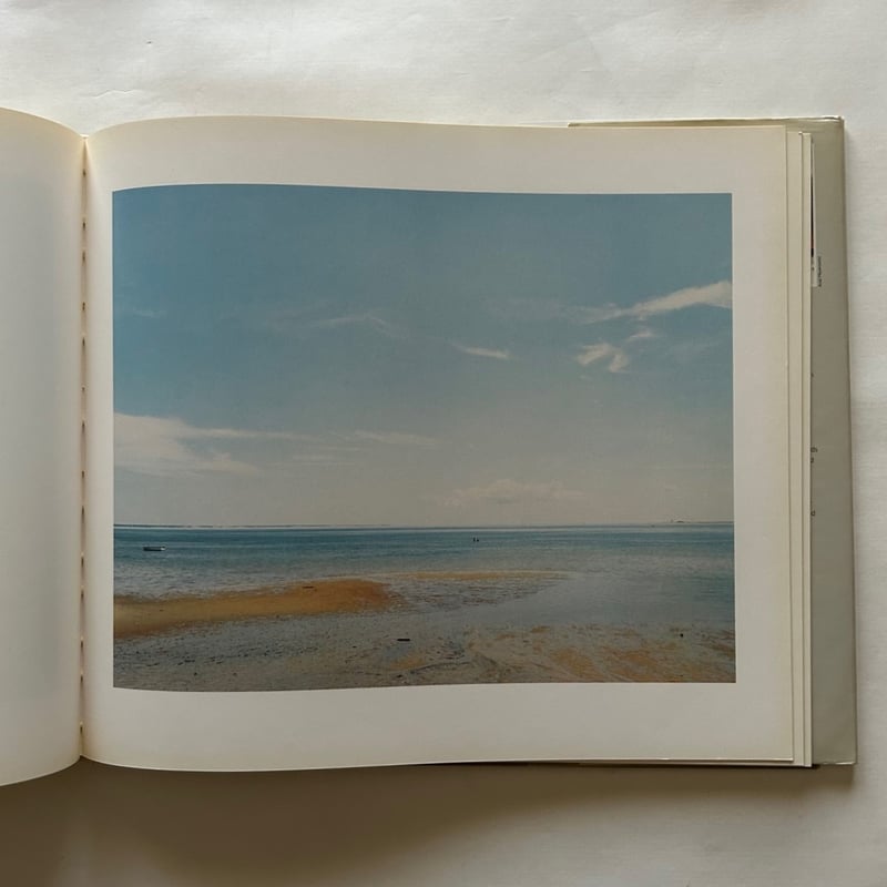 ジョエル・マイヤウィッツ写真集 / Joel Meyerowitz | 本まるさん