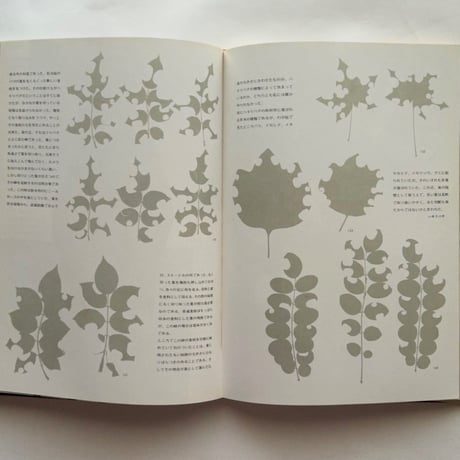 安曇野挽歌    田淵行男写真文集