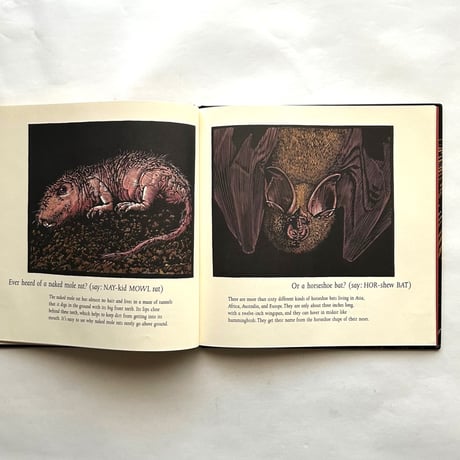 Ever Heard of an Aardwolf?/ Madeline Moser