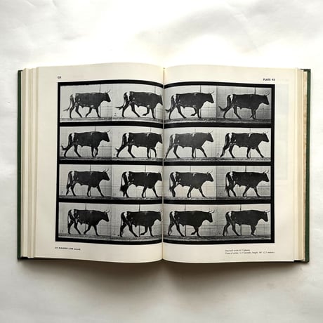 Animals in Motion / Eadweard Muybridge