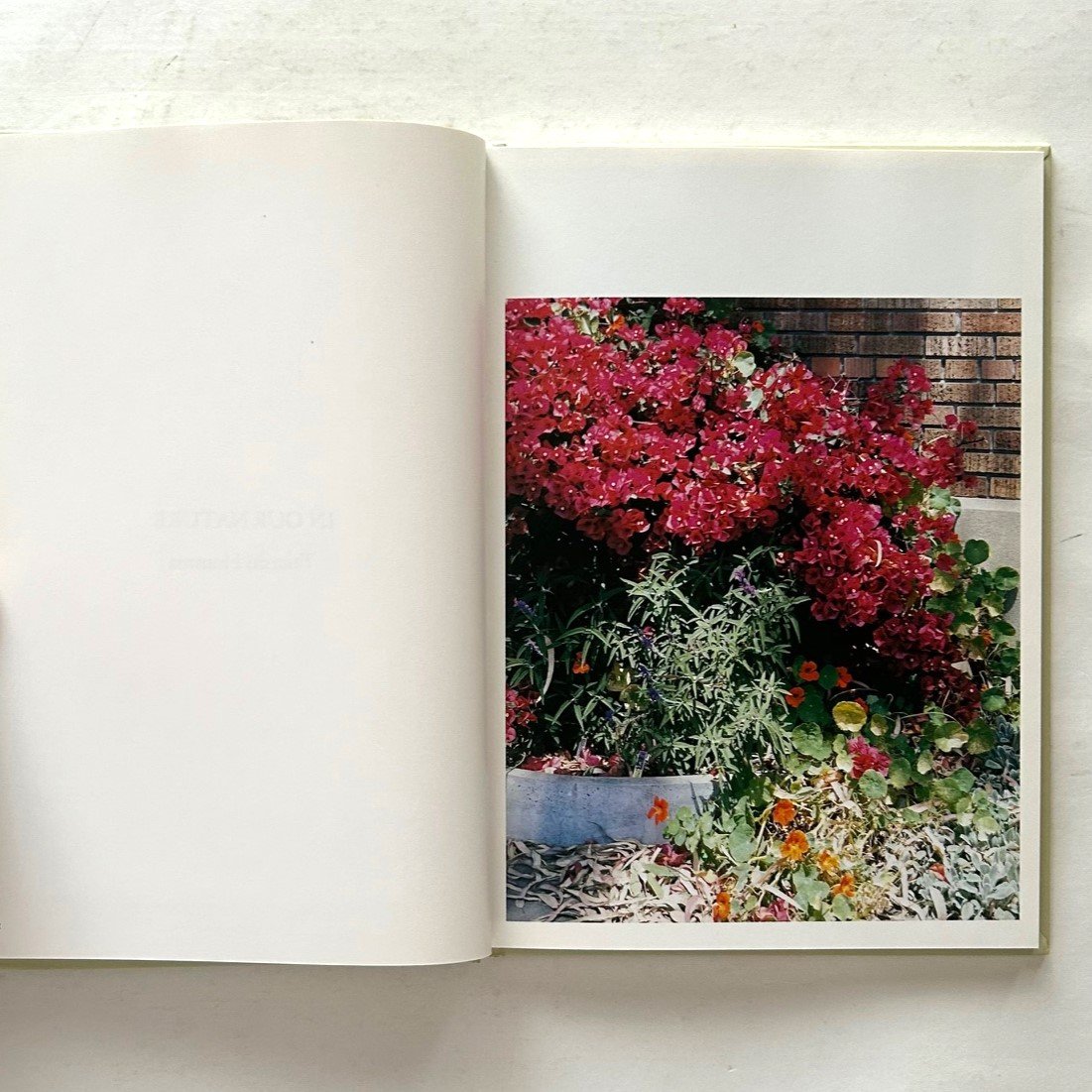 直筆サイン ホンマタカシ IN OUR NATURE Takashi Homma In Our Nature Special Edition Takashi Homma (ホンマ タカシ