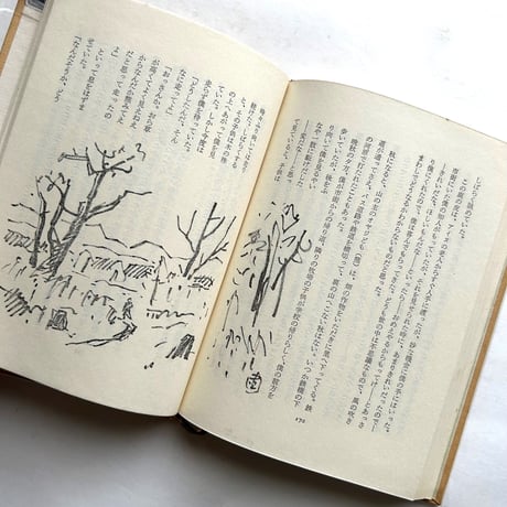 山・原野・牧場 / 坂本直行
