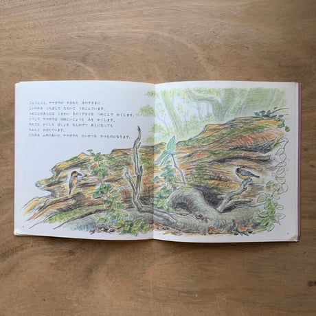 もりのとり / かがくのとも　224号