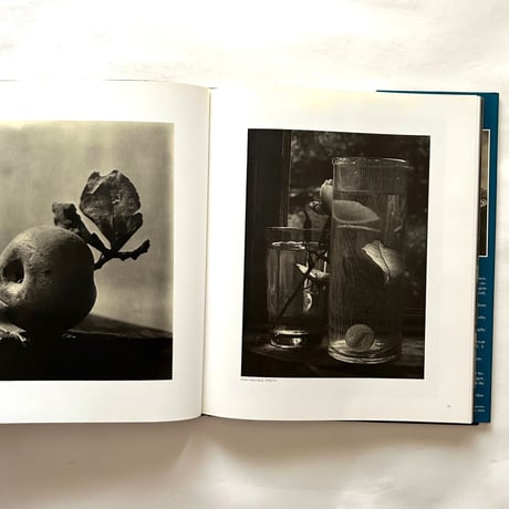 Josef Sudek Poet of Prague / Anna Farova