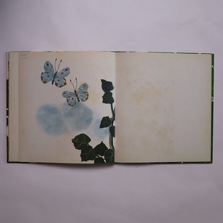 The Caterpillar's Story / Katrin Brandt