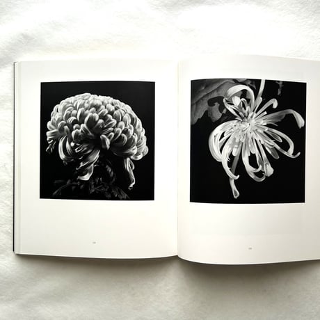Hana 花 / 石元泰博