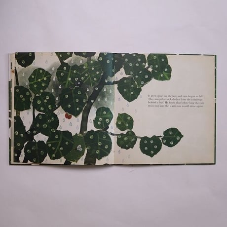 The Caterpillar's Story / Katrin Brandt