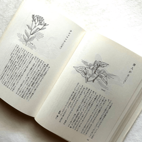 自然手帖 / 串田孫一 、尾崎喜八、太田黒克彦 他