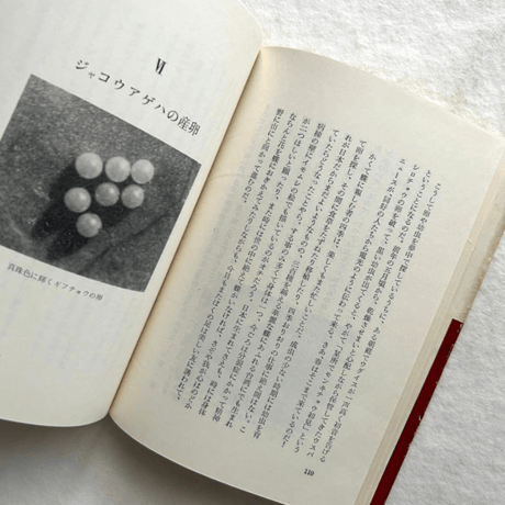 愛蝶記 / 浅田孝二