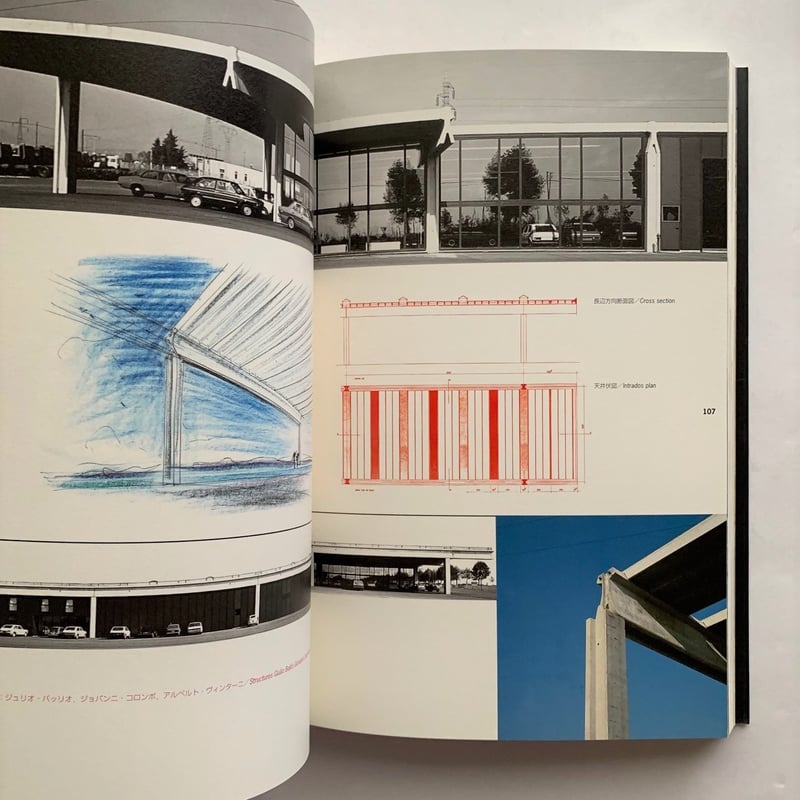 マンジャロッティの世界 | 本まるさんかくしかく