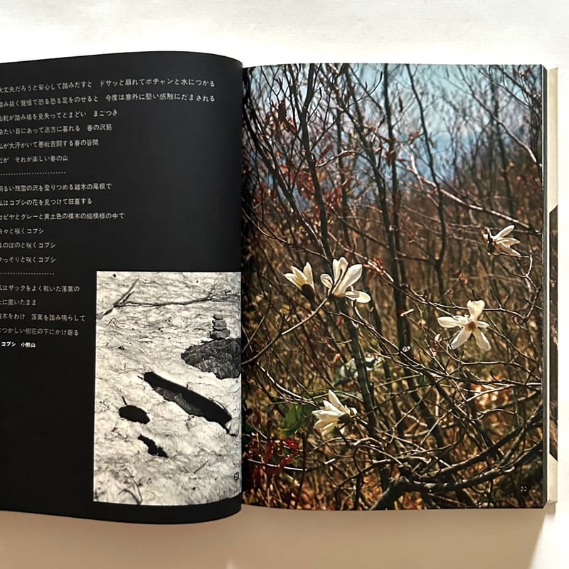 山の季節 田淵行男写真集 | 本まるさんかくしかく
