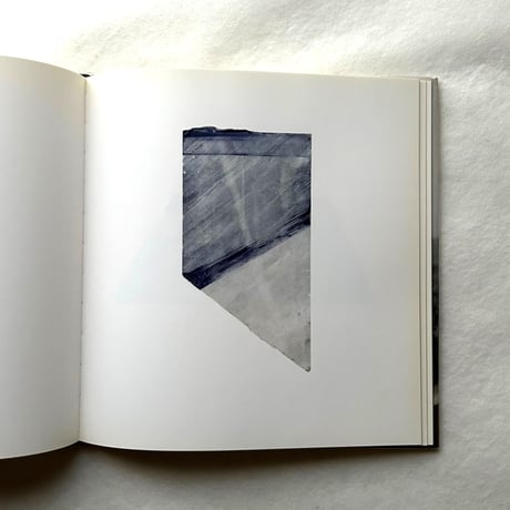 Paintings on Marble / ブライス・マーデン