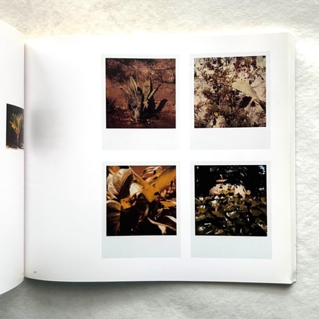 Polaroid  / Luigi Ghirri（ルイジ・ギッリ）