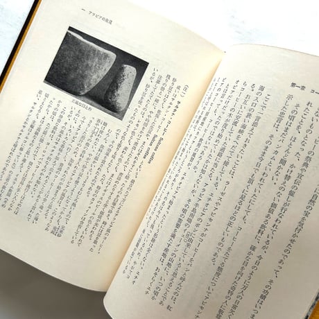 珈琲の書 / 井上誠