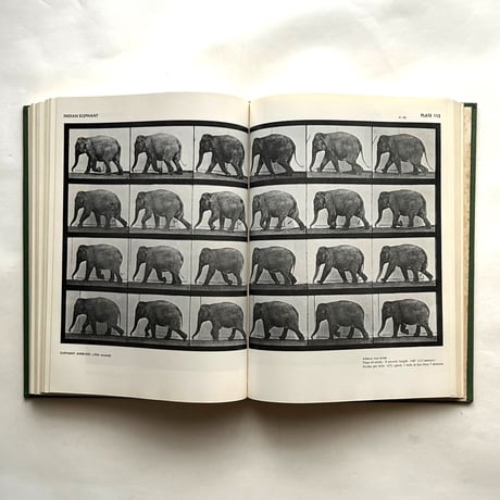 Animals in Motion / Eadweard Muybridge
