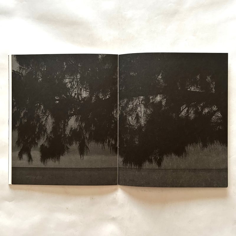 Blanco / Awoiska Van Der Molen | 本まるさんかくしかく