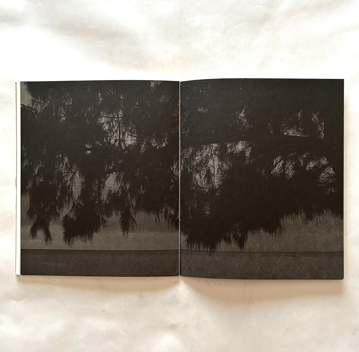 Awoiska Van Der Molen アヴォイスカ・ヴァン・デル・モレン Blanco / Awoiska Van Der Molen | 本まるさんかくしかく