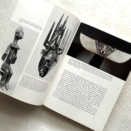 African Art  アフリカの芸術 / Frank Willett